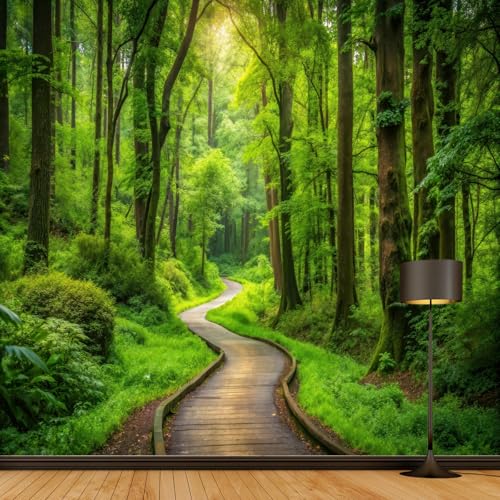 Tapisserie murale pour cacher un mur blanc : décor vert forêt géant 200x200