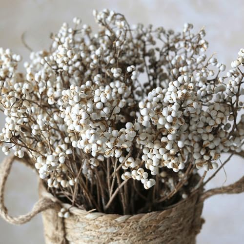 220g Tallow Berries Dried Christmas Decor- 17" Natural Stem Wedding Floral Decor, White Holly Tallow Berries, 2 Bundles Dried Flower Billy Balls, Button Plant, Willow Branches, Wreath DIY Handicraft