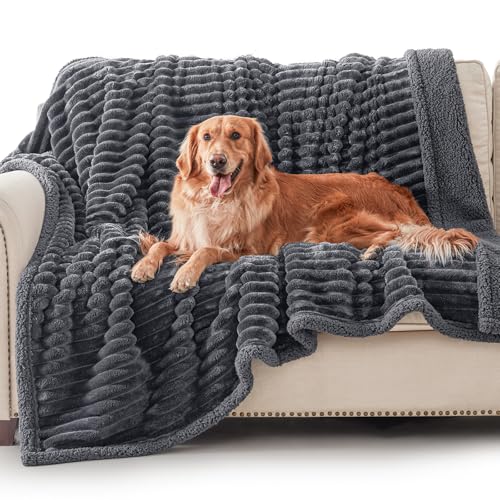 AIPERRO Waterproof Dog Blanket for Large Dogs, Washable Soft Puppy Cat Blanket Flannel Cotton Velour for Sofa Couch Protector, Comfort & Security Reversible Bed Protection for Pet, 50