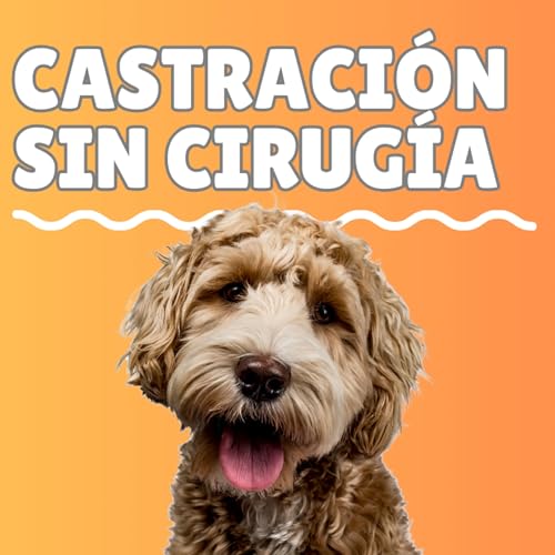 Castraci&oacute;n sin cirug&iacute;a: Evita marcajes en muebles, conductas inapropiadas y huidas de casa.