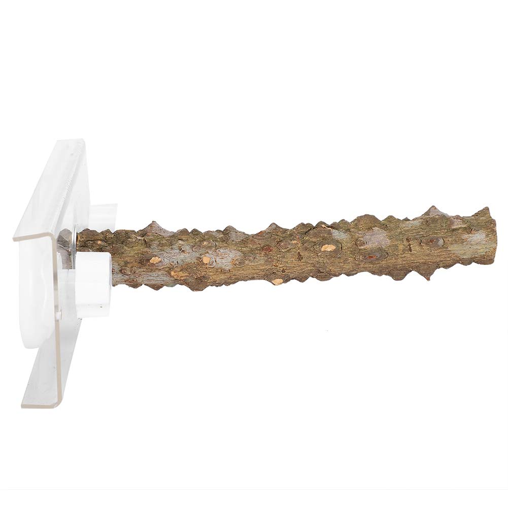 Tbest Perches,20CM Pet Bird Shower Standing Rod S Outdoor Portable Wood Perch with Suction Cup