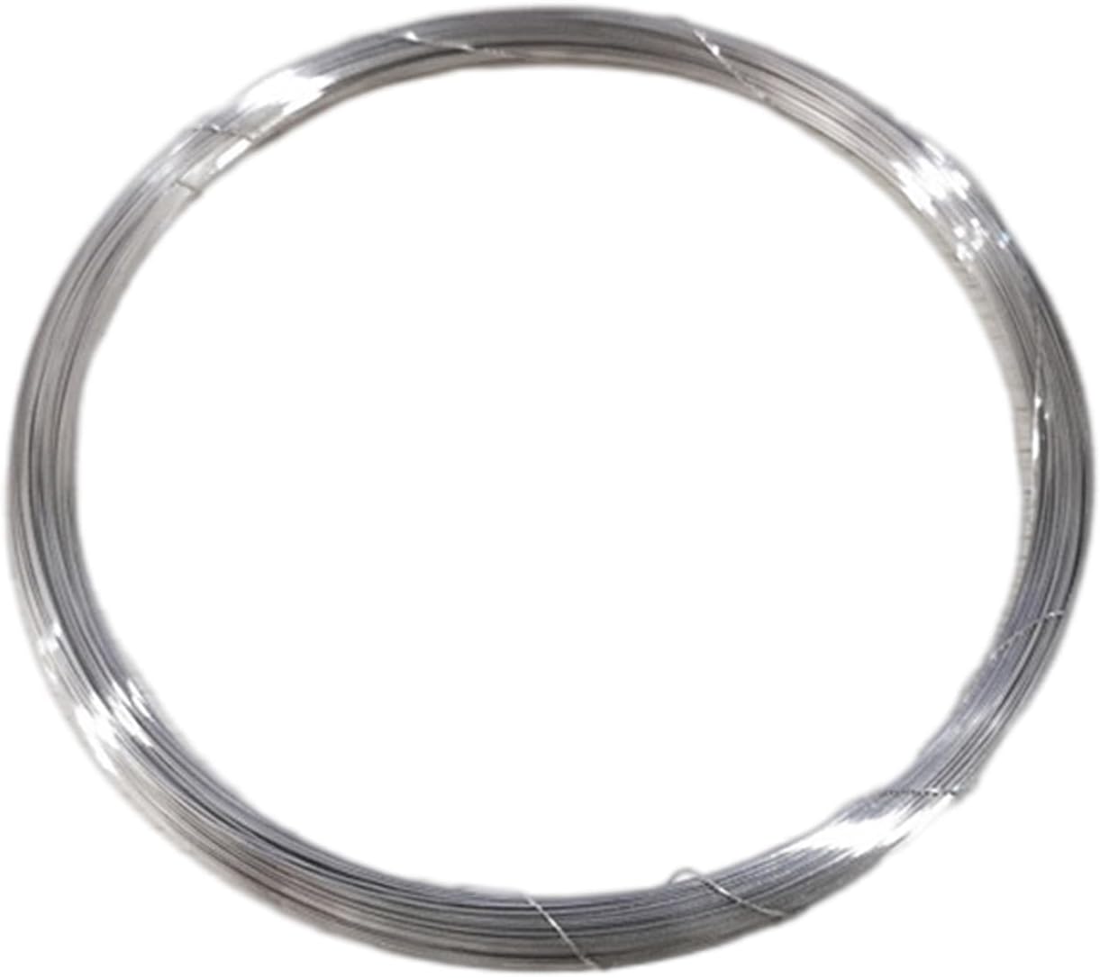 99.99% Pure Silver Wire Length 1 Meter, Metal Soft Wire Diameter 0.85-1Mm Suitable for Crafts and Industrial Applications,Diameter 1mm