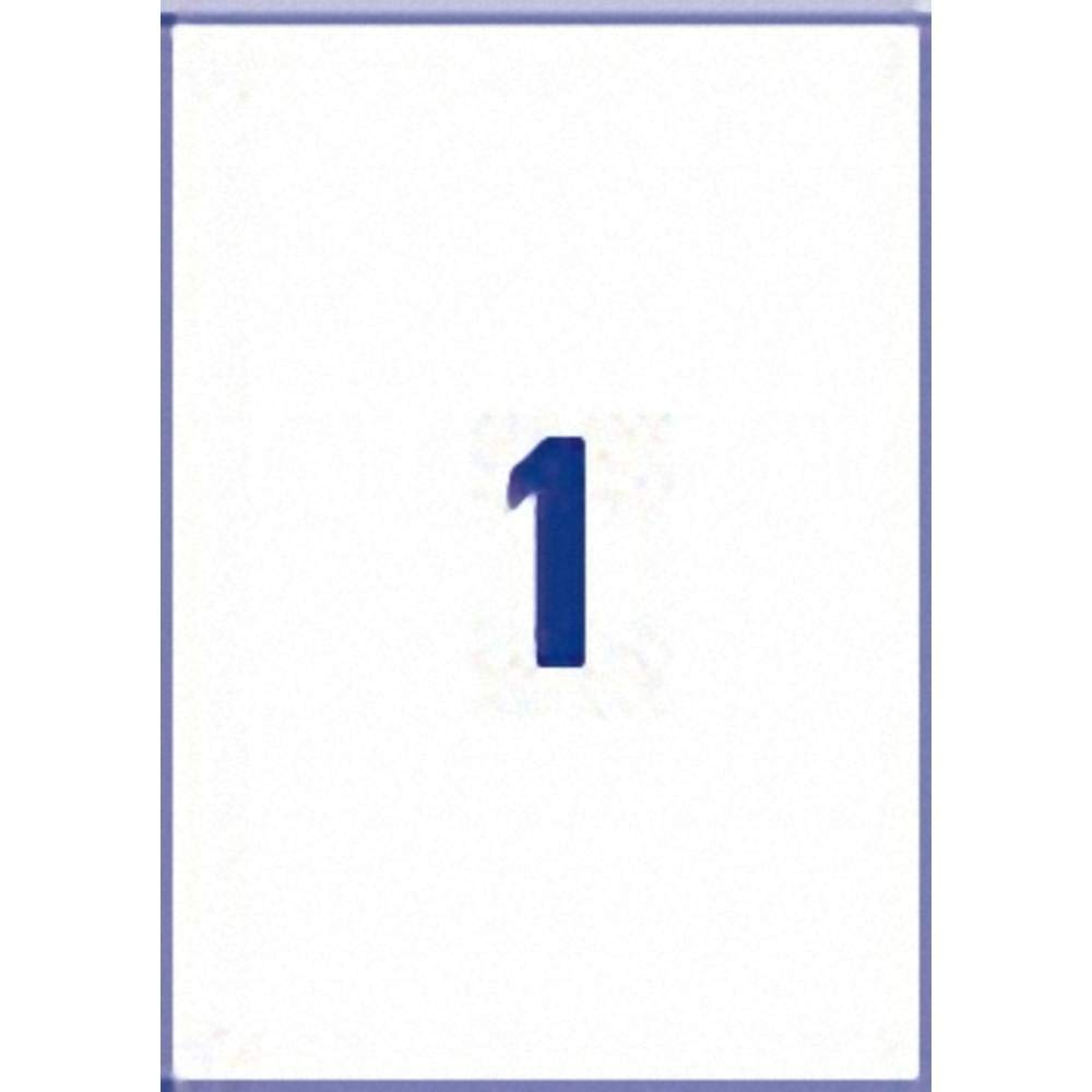 AVERY/Zweckform étiquettes résistantes aux intempéries Contenu: 20 étiquettes sans bord, 210 x 297 mm