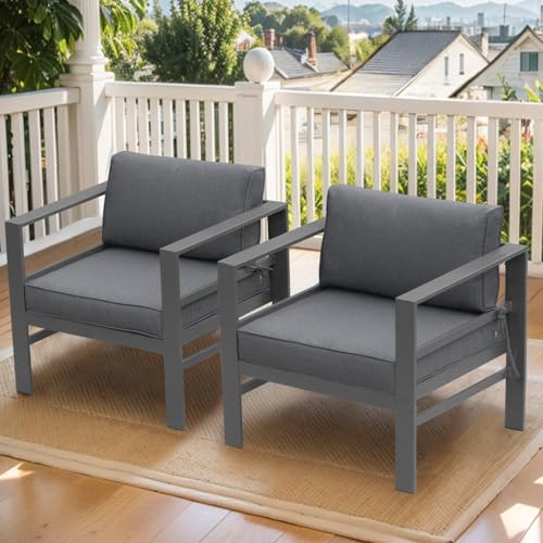 FYRICKYLINOO 2 PCS Aluminum Modern Outdoor Patio Club Chair Set