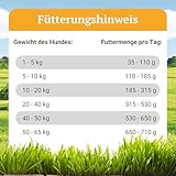 Bellfor Freiland-Schmaus Monoprotein Trockenfutter mit Huhn Getreidefrei Optimal für ernährungssensible Hunde Hoher Anteil an Omega-3-Fettsäuren 6,0 kg.