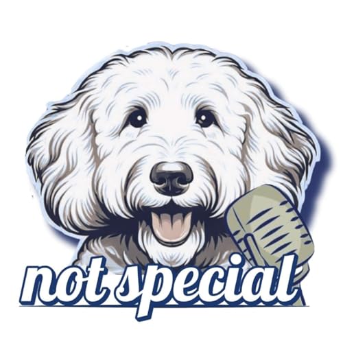 Not Special: A Liberty Speaks Show Podcast Por Liberty Speaks | Motivational Talks & Honest Conversations arte de portada