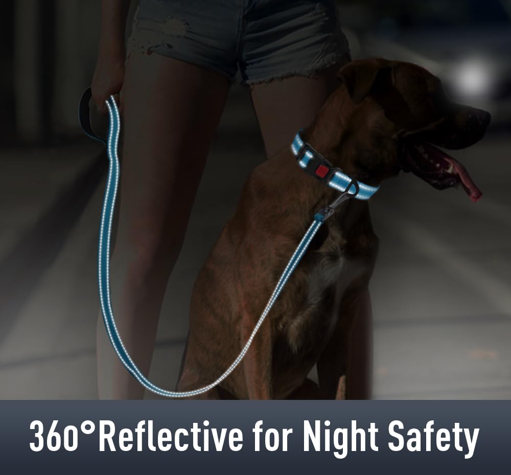 Airtag, collare per cani e cuccioli, collare riflettente per cani con supporto AirTag, morbido imbottito e fibbia di sicurezza, collare in nylon regolabile per tutte le razze, blu cielo