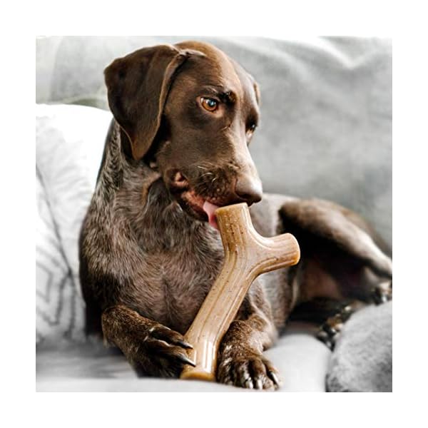 Benebone Maplestick Durable Dog Chew Toy for Aggressive Chewers, Real Maplewood, Made in USA, Large Benebone Maplestick Durable Dog Chew Toy for Aggressive Chewers, Real Maplewood, Made in USA, Large