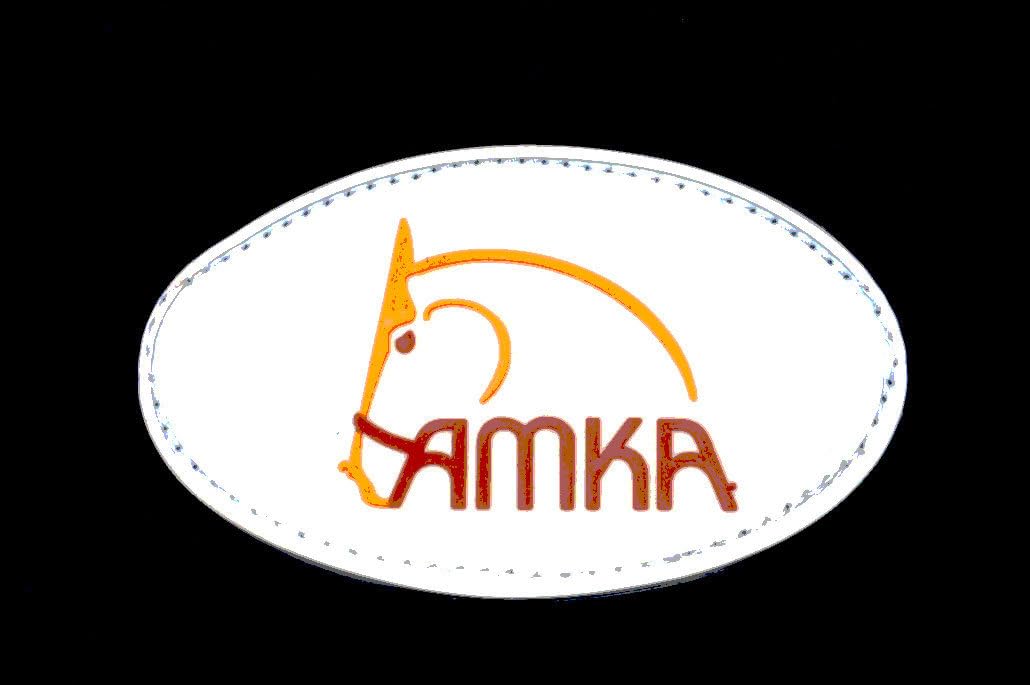 AMKA Pferde Outdoor Weidedecke Hamar 1200 D Kreuzgurten Regendecke