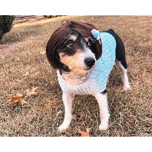 Funnydogwigforsmallmediumlargedogswithfreeheadflowertrimmablepetcostumecatcosplaydecorationforhalloweenchristmasparties Urban Country Home Decor Funny dog wig for small medium large dogs with free head flower trimmable pet costume cat cosplay decoration for halloween christmas parties urban country home decor