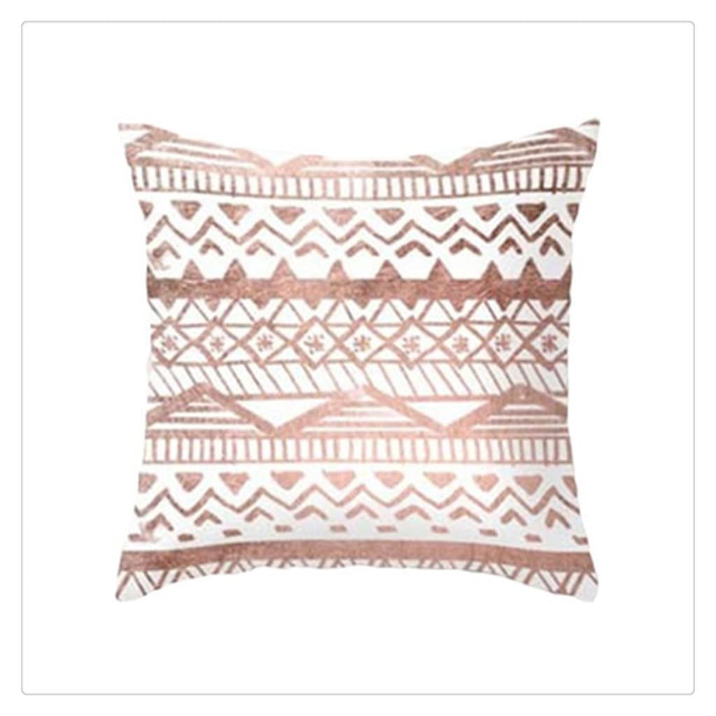 MFJGHU Rose Gold Pillowcase Polyester Peachskin Pillow Case Home Sofa Throw Cover Short Plush Velvet Bed Decoration(Style E)