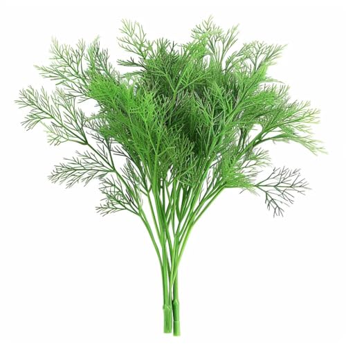 250 Semi di Aneto - SemiSelvaggio Permacultura