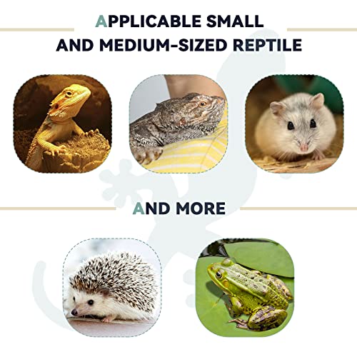 2 Pieces Bearded Dragon Carrier and Adjustable Bearded Dragon Lizard Leash Harness Bearded Dragons Lizards Safety… - Image 7