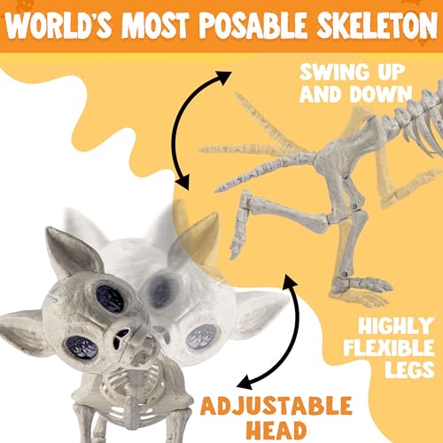 Image of JOYIN Plastic Chihuahua Dog Skeleton Halloween Decorations 12.6 inches Plastic Puppy Bones Skeleton with Posable Joints for Halloween Indoor Outdoor, Graveyard Party Decor