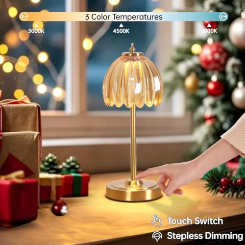 Image of NYRWANA Cordless Rechargeable Glass Table Lamp with 2000mAh Battery, USB-C Charging, Stepless Dimming, 3 Colour Touch Control,Lamp for Bedroom, Living Room, Home Decor, Rakhi Gift (Metal)