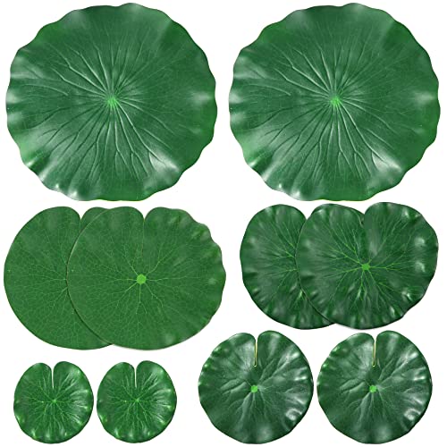 Best Lily Pads For Your Pool