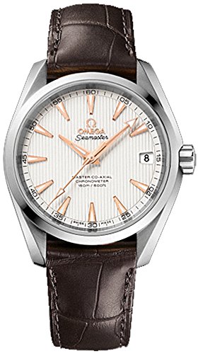 Omega Seamaster Aqua Terra 231.13.39.21.02.003
