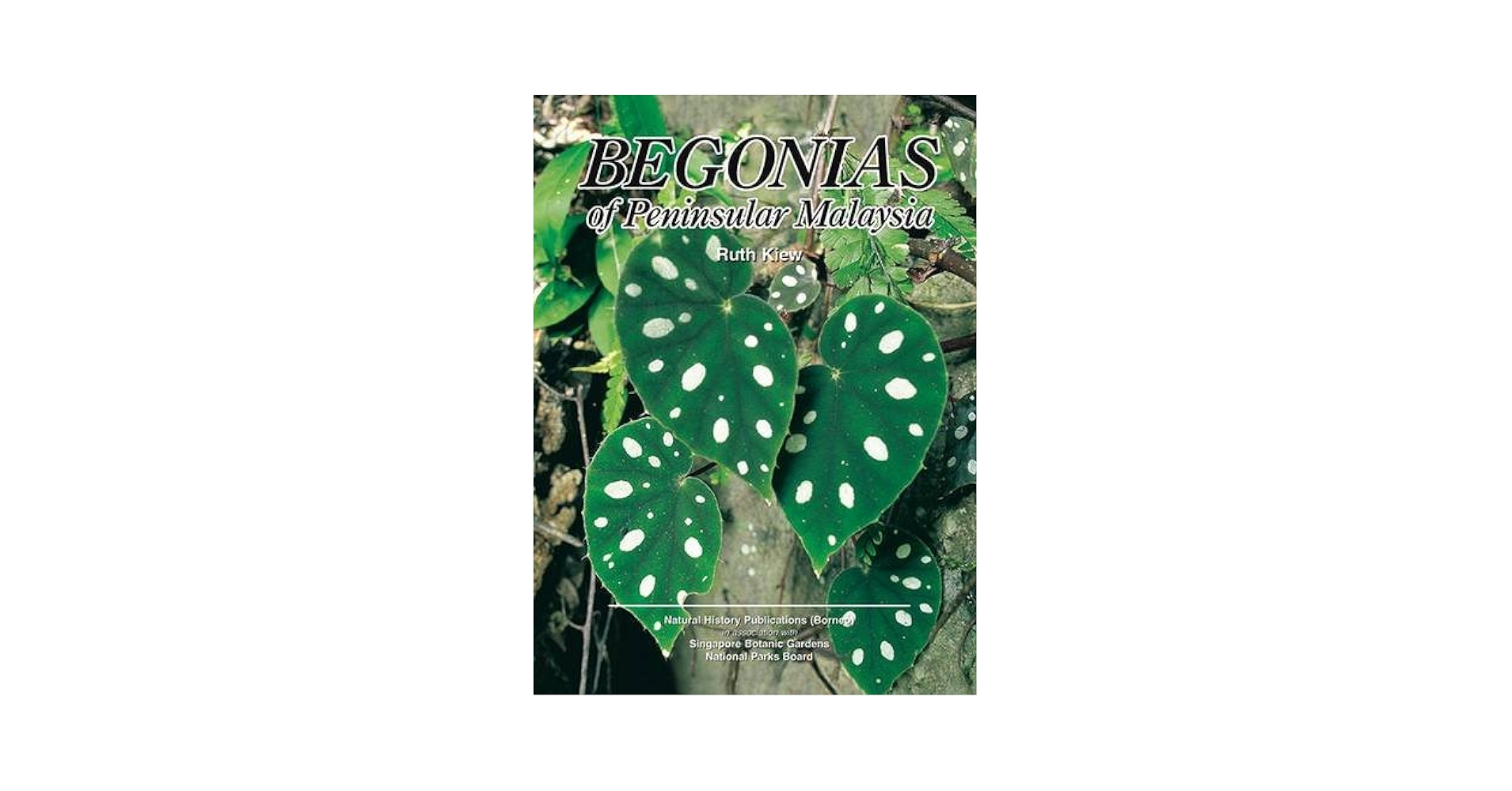 ベゴニア図鑑　Begonias of Peninsular Malaysia Begonias of Peninsular Malaysia: Ruth Kiew: 9789838120869