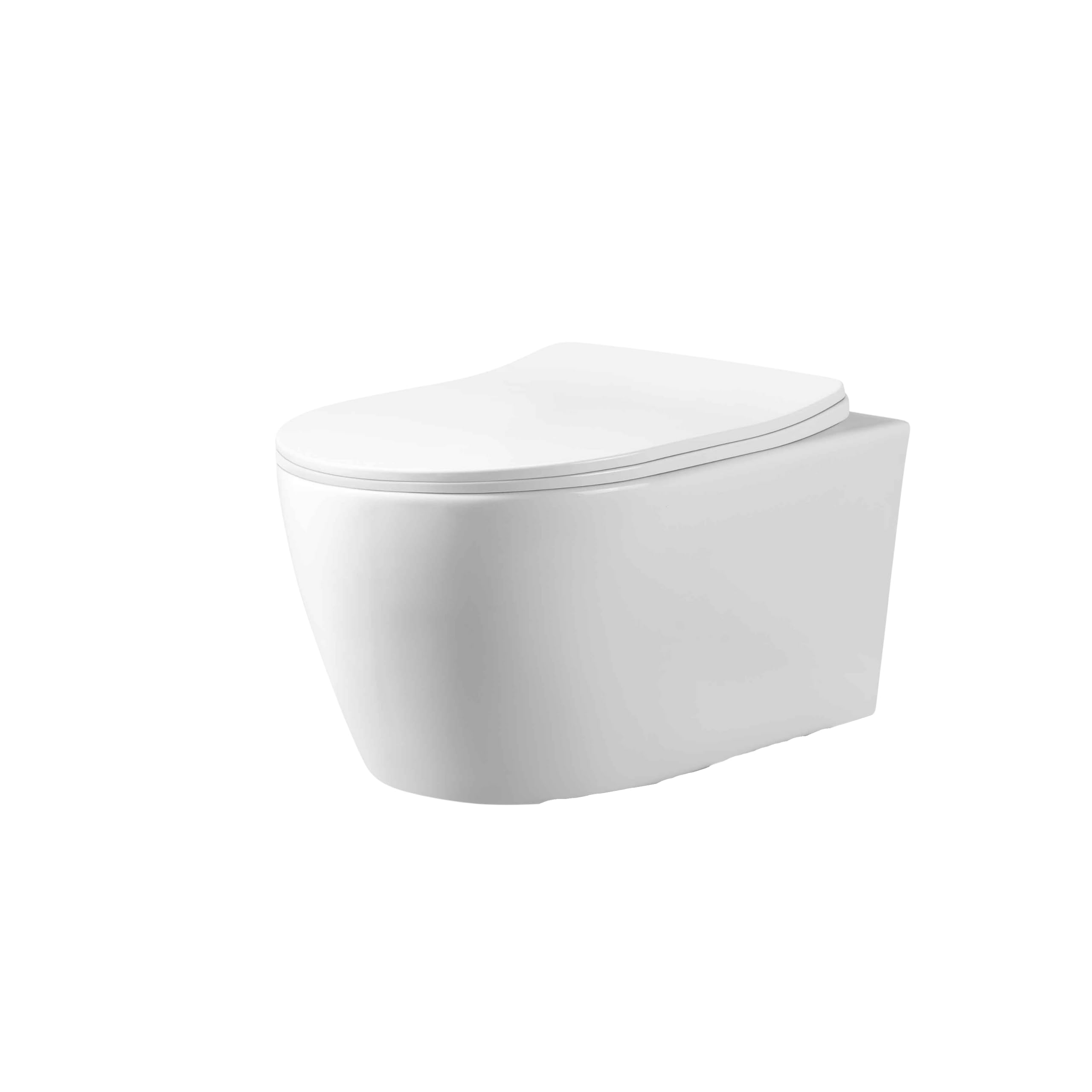 AquaUno Rimless wisząca muszla klozetowa bez obramowania – biała ceramiczna toaleta z systemem Quick Release z duroplastu, higieniczna i łatwa w pielęgnacji, w zestawie zestaw montażowy – model LIVO