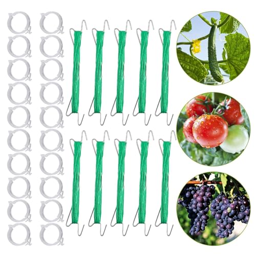 Evite les chutes de tomates grâce au crochet de support pour vigne et serre