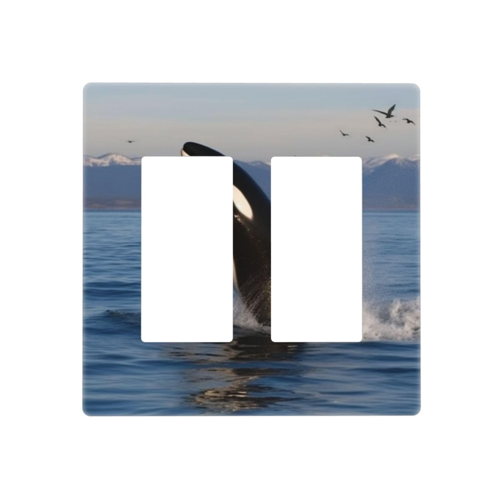 Decorator Wall Plate 2 Gang Light Switch Covers Killer Whale Wallplate Double Toggle Switch Plate Standard Size Electrical Outlet Covers Decorative Wall Switch Plate Cover