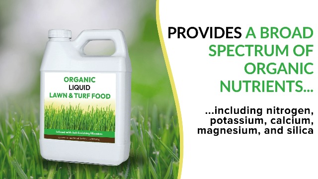 Image of Organic Liquid Lawn & Turf Food - Quickly Rejuvenates Lawn Health and Restores Rich Green Colors to Depleted Grass | Infused with Soil Enriching Microbes (32oz, 2 Pack, Treats Up to 10,000 Sq. Feet)