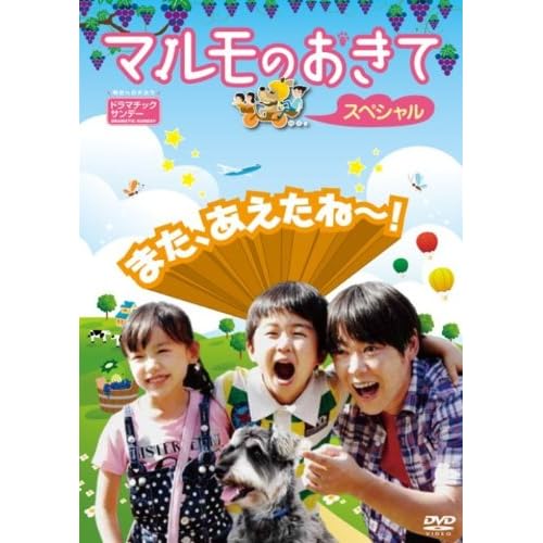 マルモのおきてスペシャル