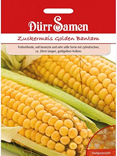 Zuckermais Golden Bantam, 1kg