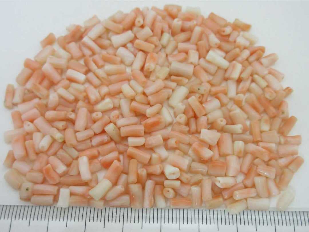 珊瑚 サンゴ 31g ネックレス ルース ブレスレット 根付 p380.