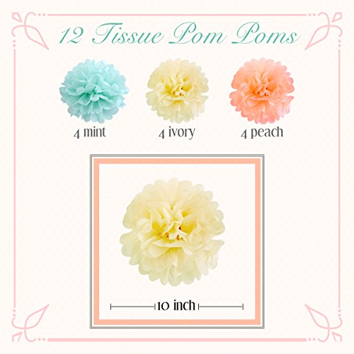 EPIQUEONE Tissue Paper Pom Poms & Lantern Party Decorations - 22-Piece Set, Mint, Ivory & Peach - Hanging Puff Balls & Party Garland Puffs - Reusable & Easy to Fluff - Image 2