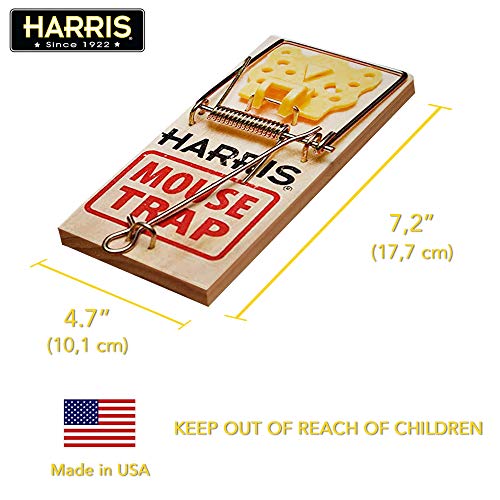 Harris Wooden Mouse Snap Traps (6-Pack) #TOP6