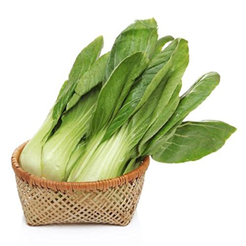 Bok Choy Pak Choi Shanghaiqing White Cabbage 2000 Seeds Easy And Fast Growing #TOP2
