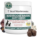Real Mushroom Immune Pet Chews – For Daily Digestive & Immune Health – Mushrooms for Dogs & Cats Functional Treat – Mushroom Supplement for Dogs & Cats – 1 to 4 Chews For All Breeds & Sizes (60 Count)