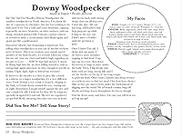 Land Birds of Alaska: A Field Guide for Children 0996255958 Book Cover