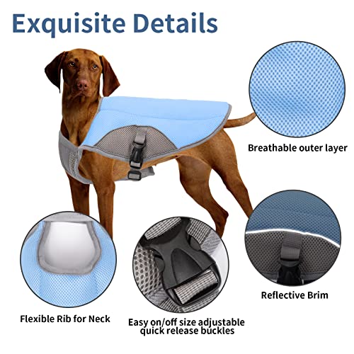 Joypaws Ice Cool Dog Cooling Vest, Evaporative Cooling For Summer And Hot Weather, Adjustable Outdoor Dog Jacket, Safety Reflective Vest Cooler, Sun-Proof Pet Coat Vest Blue Xl #TOP1