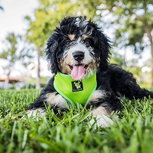 Image of Classic Dog Harness Innovative Mesh No Pull No Choke Design Soft Double Padded Breathable Vest for Eco-Friendly Easy Control Walking Quick Release Puppies Full Size Breeds Large Dogs (Large, Green)