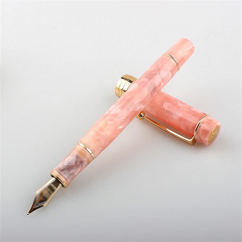 Penna stilografica in resina con bellissimi colori, inchiostro regalo, per ufficio, casa e lavoro (D)