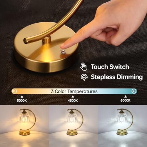 Image of Shenmoyl Set of 2 Tulip Table Lamp, 5200mAh Cordless Touch Control Table Lamp with 3 Color Temps & Stepless Dimming, Rechargeable Battery Table Lamp for Living Room, Bedroom, Shelf (Transparent Tulip)