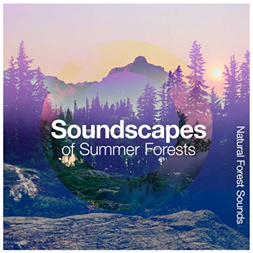 Amazon.com: Soundscapes of Summer Forests : Natural Forest Sounds ...