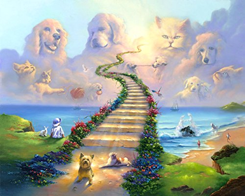 16x20 11x14 or 8x10 Rainbow Bridge All Pets Go Stairway to Heaven Art Print Sympathy Memorial Dogs Cats (8x10)