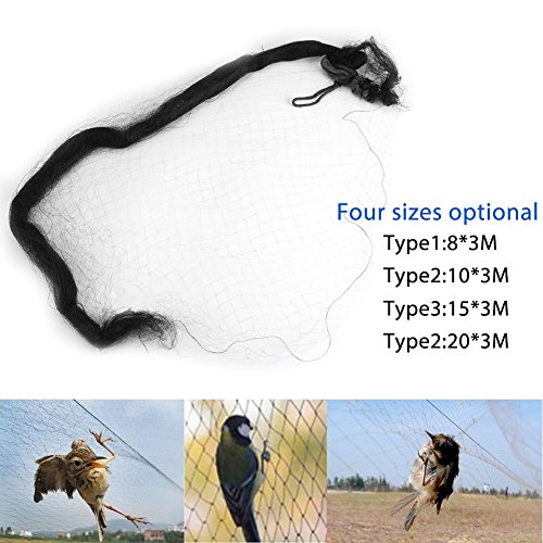 Asixx Rede antipássaros, rede antipássaro, preta, antinévoa, para evitar que caia, capte frutas, jar