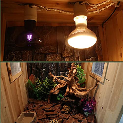 Reptielenterrarium Voerbak voor huisdieren Amfibie kooi Transparante reptielen hoge doos Onafhankelijke lichtschakelaar… - Afbeelding 3