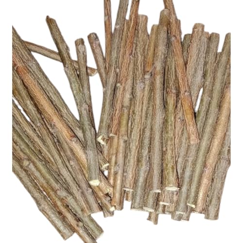 Image of Ayurvedic Natural Organic Neem Datun Toothbrush, Twigs Chew Sticks for Brushing Teeth Removes Bad Breath, Relieve Tooth Ache, Healthy Collected in The Wild. (Pack of 40)