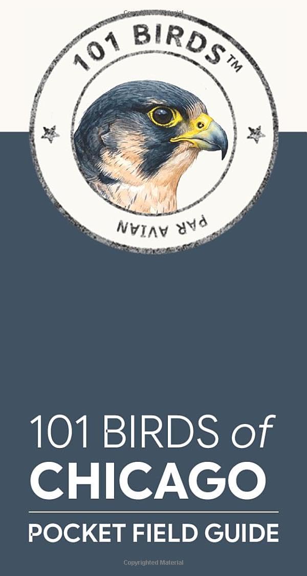 101 Birds of Chicago: Pocket Field Guide (101 Birds Pocket Field Guides)