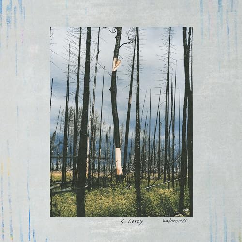 S. Carey