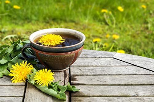 FGO Organic Dandelion Root, Cut and Sifted Loose Tea, 4 Ounce Resealable Bag, Packaging May Vary (Pack of 1) - Thumbnail 6