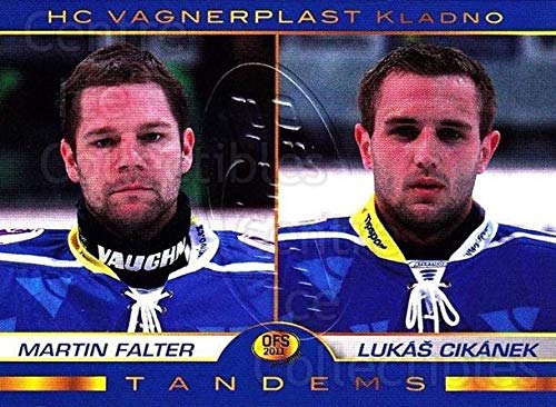 (CI) Martin Falter, Lukas Cikanek Hockey Card 2010-11 Czech OFS Premium Tandems Gold 10 Martin Falter, Lukas Cikanek