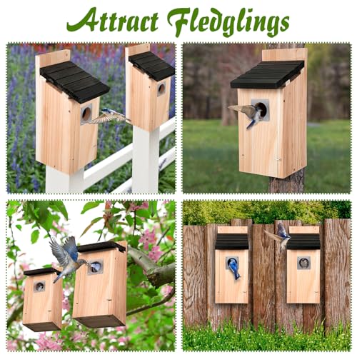 Dreyoo Cedar Bluebird Box Houses for Outside, 1-1/2'' Entrance Hole Wooden Bird Houses with Metal Guard, Secure Latch, Fledgling Grooves, Air Vents for Bluebird Wren Swallow(2 Pack)