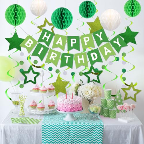 Image of meowtastic Birthday Decorations Happy Birthday Banner with Honeycomb Balls