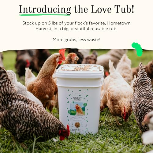 Image of Grubbly Farms Love Tub - Black Soldier Fly Larvae for Chickens - Chicken Treats with 50x More Calcium for Strong Eggshells and Healthy Feathers - Grown in the US and Canada - 5lb Reusable Tub
